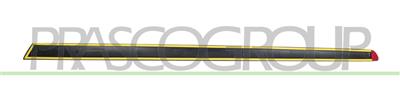 FRONT DOOR MOLDING-RIGHT-SMOOTH BLACK-FINISH-WITH BIADHESIVE