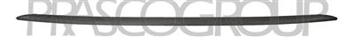 REAR BUMPER MOLDING LOWER-BLACK