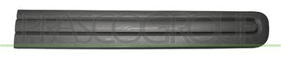 FRONT DOOR MOLDING-RIGHT-BLACK