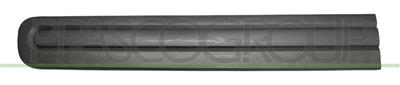 FRONT DOOR MOLDING LEFT-BLACK