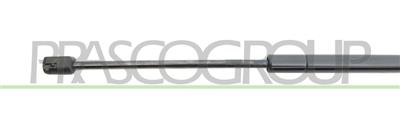 TAILGATE GAS SPRING RIGHT/LEFT - 680 N - L 555 mm - S 180 mm - Ø 18 mm - Ø 8 mm