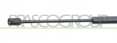 TAILGATE GAS SPRING RIGHT/LEFT - 480 N - L 451 mm - S 162 mm - Ø 18 mm - Ø 8 mm