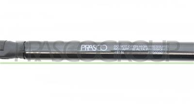 TAILGATE GAS SPRING RIGHT/LEFT - 480 N - L 451 mm - S 162 mm - Ø 18 mm - Ø 8 mm