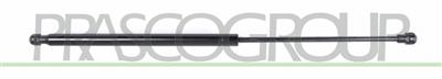 AMORTIGUADOR DE MALETERO DERECHO/IZQUIERDO PORTON TRASERO - 570 N - L 520 mm - C 216 mm - Ø 18 mm - Ø 8 mm MOD. FAMILIAR > 09/2002