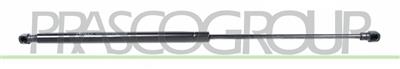AMORTIGUADOR DE MALETERO DERECHO/IZQUIERDO PORTON TRASERO - 570 N - L 520 mm - C 216 mm - Ø 18 mm - Ø 8 mm MOD. FAMILIAR > 09/2002