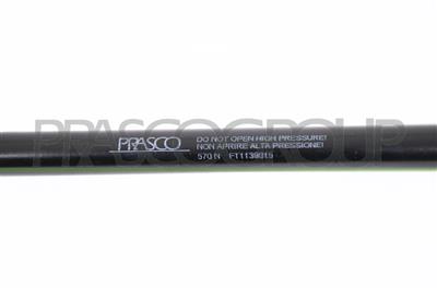 AMORTIGUADOR DE MALETERO DERECHO/IZQUIERDO PORTON TRASERO - 570 N - L 520 mm - C 216 mm - Ø 18 mm - Ø 8 mm MOD. FAMILIAR > 09/2002
