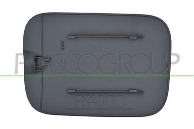 FUEL TANK FLAP-WITH PRIMER