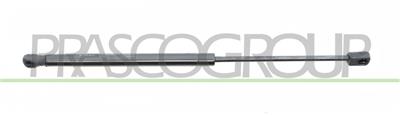 MOLLA A GAS DESTRA/SINISTRA PORTELLONE POSTERIORE - 300 N - L 445 mm - C 180 mm - Ø 18 mm - Ø 8 mm
