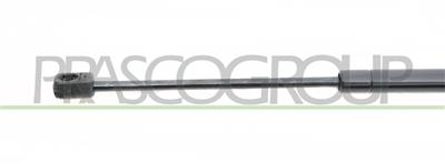 MOLLA A GAS DESTRA/SINISTRA PORTELLONE POSTERIORE - 300 N - L 445 mm - C 180 mm - Ø 18 mm - Ø 8 mm