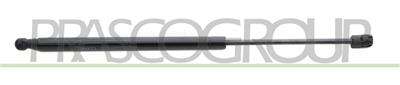 GASDRUCKFEDER HECKKLAPPE RECHTS/LINKS - 480 N - L 473 mm - H 175 mm - Ø 18 mm - Ø 8 mm