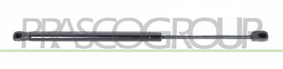 MOLLA A GAS DESTRA/SINISTRA PORTELLONE POSTERIORE - 460 N - L 440 mm - C 160 mm - Ø 18 mm - Ø 8 mm MOD. 3 PORTE