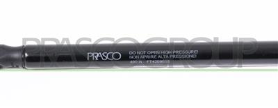 MOLLA A GAS DESTRA/SINISTRA PORTELLONE POSTERIORE - 460 N - L 440 mm - C 160 mm - Ø 18 mm - Ø 8 mm MOD. 3 PORTE