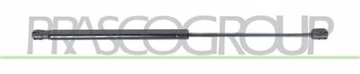MOLLA A GAS DESTRA/SINISTRA PORTELLONE POSTERIORE - 380 N - L 507 mm - C 216 mm - Ø 18 mm - Ø 8 mm MOD. 5 PORTE