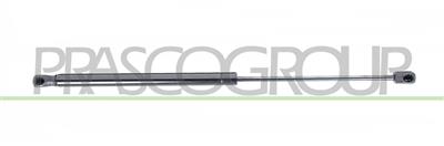 MOLLA A GAS DESTRA/SINISTRA PORTELLONE POSTERIORE - 380 N - L 507 mm - C 216 mm - Ø 18 mm - Ø 8 mm MOD. 5 PORTE