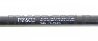 MOLLA A GAS DESTRA/SINISTRA PORTELLONE POSTERIORE - 380 N - L 507 mm - C 216 mm - Ø 18 mm - Ø 8 mm MOD. 5 PORTE