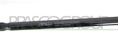 TAILGATE GAS SPRING RIGHT/LEFT - 810 N - L 603 mm - S 200 mm - Ø 18 mm - Ø 8 mm MOD. > 08/05