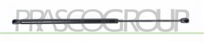 TAILGATE GAS SPRING RIGHT/LEFT-740 N-L 603 mm-S 220 mm-Ø 18 mm-Ø 8 mm MOD. STATION WAGON