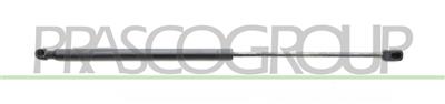 TAILGATE GAS SPRING RIGHT/LEFT - 520 N - L 507 mm - S 215 mm - Ø 18 mm - Ø 8 mm