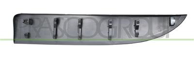 FRONT RIGHT LOWER DOOR SIDE MOLDING-WITH CLIPS-BLACK