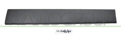 REAR LEFT DOOR MOLDING-LOWER-WITH CLIPS-BLACK