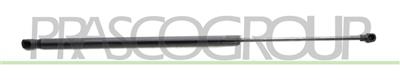TAILGATE GAS SPRING RIGHT/LEFT - 670 N - L 600 mm - S 213 mm - Ø 18 mm - Ø 8 mm