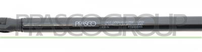 TAILGATE GAS SPRING RIGHT/LEFT - 430 N - L 866 mm - S 360 mm - Ø 18 mm - Ø 8 mm MOD. 10/04 >