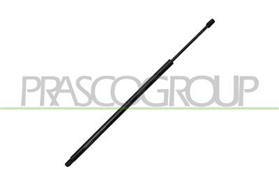 MOLLA A GAS DESTRA/SINISTRA PORTELLONE POSTERIORE - 1050 N - L 700 mm - C 175 mm - Ø 22 mm - Ø 10 mm