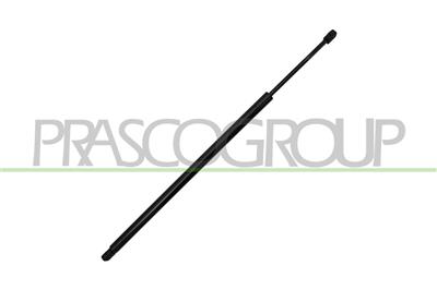 TAILGATE GAS SPRING RIGHT/LEFT - 1050 N - L 700 mm - C 175 mm - Ø 22 mm - Ø 10 mm
