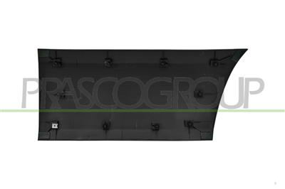 FRONT LEFT DOOR MOLDING-BLACK