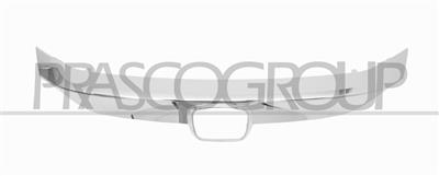 RADIATOR GRILLE MOLDING-CHROME