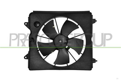FAN