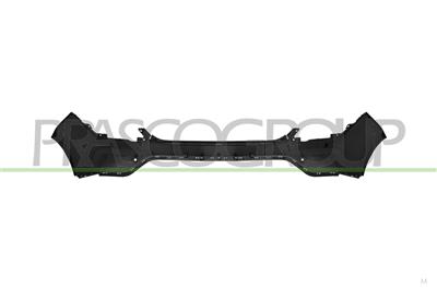 PARAURTI POSTERIORE-CON PRIMER-CON FORI PARK ASSIST