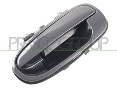 REAR DOOR HANDLE LEFT-OUTER-SMOOTH-BLACK