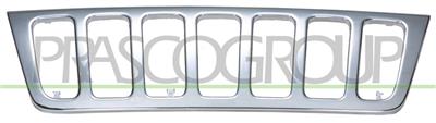 RADIATOR OUTER GRILLE-CHROME