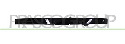 BACK DOOR HANDLE-OUTER-WITH BACK SHIELD OPEN BUTTON PRIMED