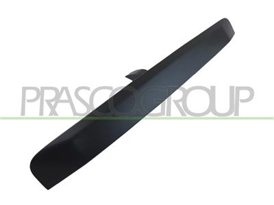 BACK DOOR HANDLE-OUTER-PRIMED-WITHOUT KEY HOLE-WITH CENTRE LOCKING