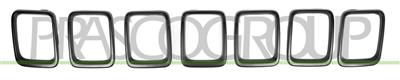 RADIATOR GRILLE MOLDING-GRAY (7 PCS)