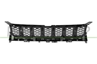 RADIATOR GRILLE-BLACK-WITH CHROME MOLDINGS