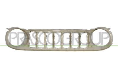 RADIATOR GRILLE FRAME-SILVER