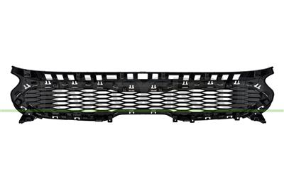 RADIATOR GRILLE-BLACK-WITH SILVER-GRAY MOLDING