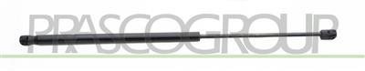 MOLLA A GAS DESTRA/SINISTRA PORTELLONE POSTERIORE - 280 N - L 562 mm - C 224 mm - Ø 18 mm - Ø 8 mm