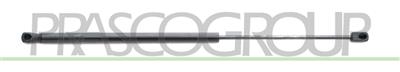 MOLLA A GAS DESTRA/SINISTRA PORTELLONE POSTERIORE - 280 N - L 562 mm - C 224 mm - Ø 18 mm - Ø 8 mm