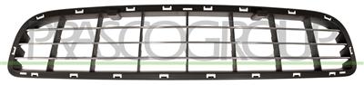 BUMPER GRILLE-CENTRE-BLACK-WITH CHROME MOLDING