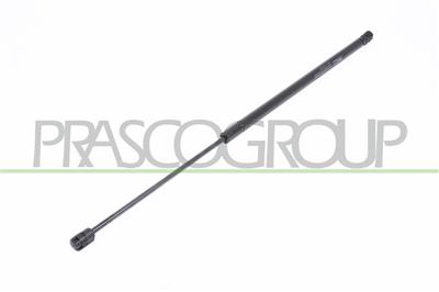GASDRUCKFEDER HECKKLAPPE RECHTS UND LINKS-300 N-L 645 mm-H 246 mm-Ø 18 mm-Ø 8 mm