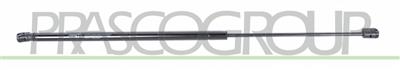 VERRIN DE HAYON A GAZ DROIT/GAUCHE - 300 N - L 645 mm - C 246 mm - Ø 18 mm - Ø 8 mm