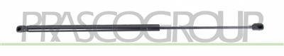 VERRIN DE HAYON A GAZ DROIT/GAUCHE - 300 N - L 645 mm - C 246 mm - Ø 18 mm - Ø 8 mm