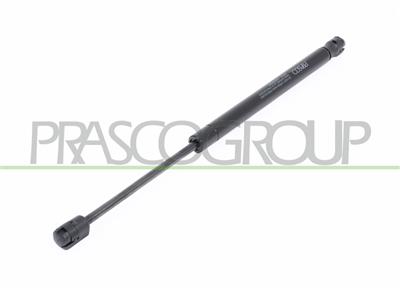 TAILGATE GAS SPRING RIGHT/LEFT - 560 N - L 384 mm - S 138 mm - Ø 18 mm - Ø 8 mm MOD. STATION WAGON