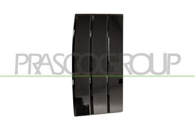 FRONT DOOR MOLDING LEFT-BLACK-GLOSSY