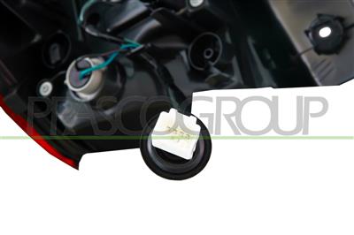 TAIL LAMP RIGHT-OUTER-WITHOUT BULB HOLDER