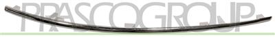 MOLDURA DERECHA CROMADA PARACHOQUES DELANTERO MOD. AVANTGARDE/ELEGANCE